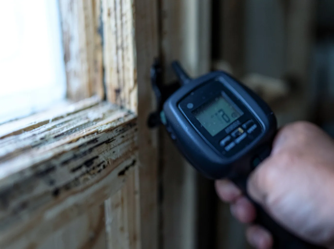 Moisture Inspection And Documentation in La Pryor, TX
